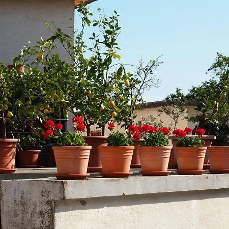 Istrian Houses Padna Nyaraló